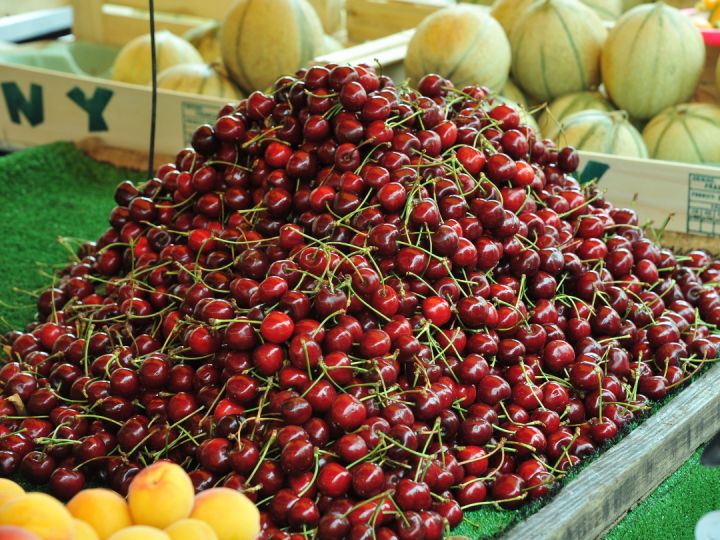 brittany cherries cycling france holidays gallery