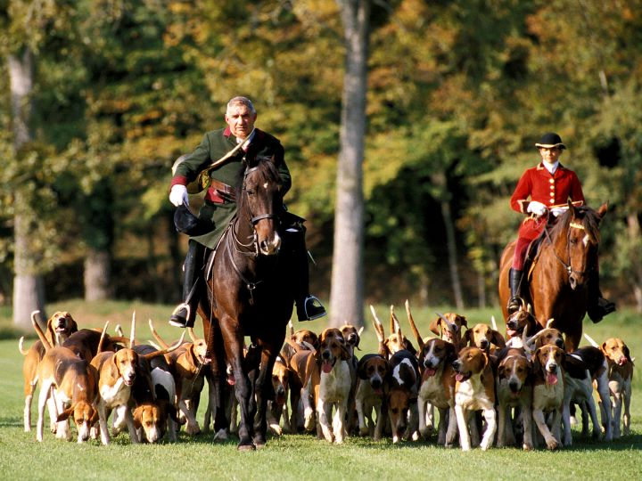 hounds cycling france