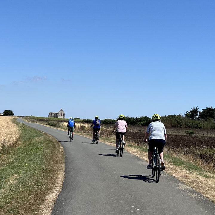 Cyclists Ile de R&eacute; 