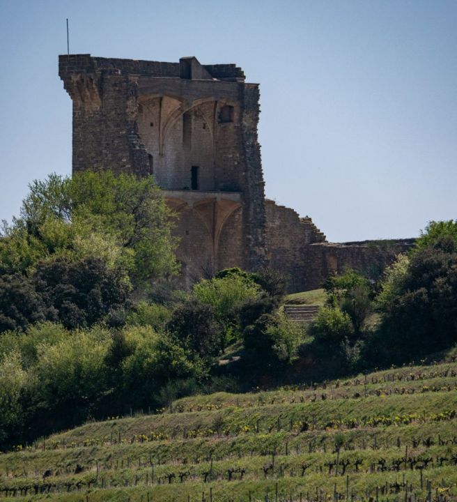 Provence Chateauneuf du Pape