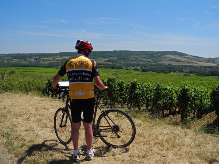 Burgundy Wine Tour