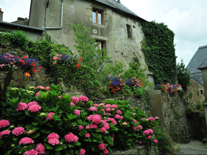 brittany flowers cycling france holidays gallery